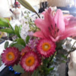 Meet your Posher, Julie